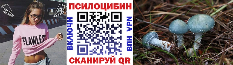 Псилоцибиновые грибы Psilocybine cubensis  купить закладку  Бабаево 
